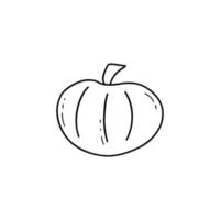 Pumpkin doodle. Harvesting. Vector isolated gourd contour