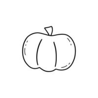 Pumpkin. Harvesting. Vector isolated gourd contour doodle