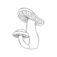 Two forest mushrooms in one. Vector hand drawn doodle