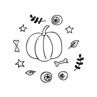 Pumpkin. Leaf sprigs, bones, eyeballs, stars, leaves vector