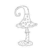 Fly agaric mushroom. Vector hand drawn amanita