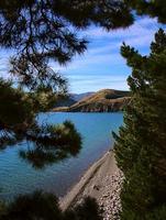 view of the lake through the trees photo