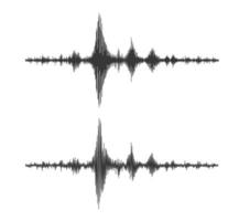 terremoto sismógrafo ola, sísmico grafico diagrama vector