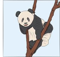 Cute hand drawn Coloring Book Panda Isolated vector