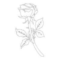 Vector illustration of a rose in line art style