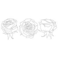 Set of rose in line art style.Drawn contour flower vector