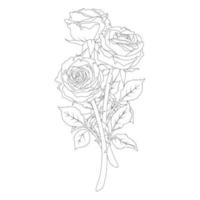 Bouquet composition of a rose in line art style vector