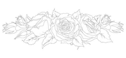 Horizontal composition of roses and buds vector