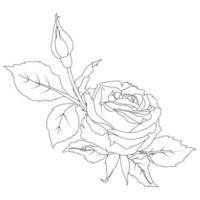 Composition of rose in line art.Hand drawn outline vector