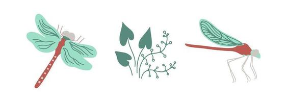 Dragonflies top view and side view with wetland plants isoalted on white background. Hand drawn vector illustration.