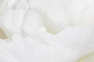 white petals of peony flower photo