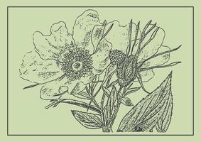 perro se levantó flor monocromo diseño elemento. botánico dibujo en grabado estilo. saludo tarjeta y invitación de el boda, cumpleaños vector