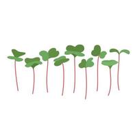 Seeds and sprouts of microgreens of radish. Design element. Vector illustration.