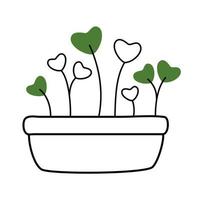 vector ilustraciones de microgreens íconos aislado en blanco antecedentes. decorativo elemento para tu diseño.