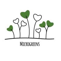 vector ilustraciones de microgreens íconos aislado en blanco antecedentes. decorativo elemento para tu diseño.