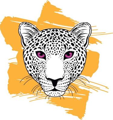t-shirt design of a leopard head with an orange brushstroke. Vector illustration for a safari.