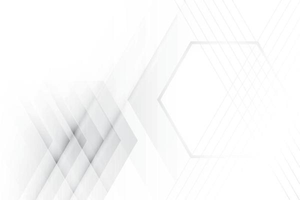 Abstract  white and gray color, modern design background with geometric hexagonal shape. Vector illustration.