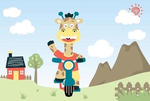 Funny giraffe cycling on rural scenery background, vector cartoon illustration