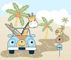 vector cartoon of Funny giraffe with surfboard on car, cute bird on signpost