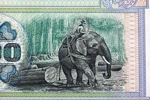 Elephant teak-logger from Myanmar money photo