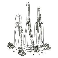 A hand-drawn sketch of the decor for serving dinner at a wedding ceremony. Decoration for the wedding ceremony. Beautiful bottles with candles and cones. Serving for a holiday. On a white background vector