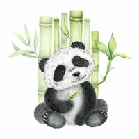 linda sentar panda. aislado en un blanco antecedentes. acuarela ilustración. animal de el salvaje. vector