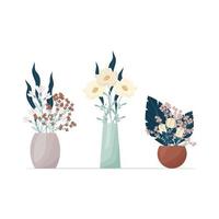 Set of flowers in boho style vases. Composition of flowers vector illustration. Bouquets of tricots, cotton, various decorative leaves and twigs