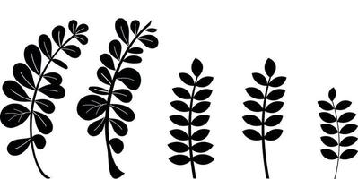 A set of abstract leaves. Elements of vector design.