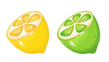 Cartoon style lime and lemon slice vector