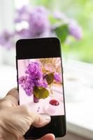 mujer fotografias un lila flor arreglo en ventana en un teléfono inteligente para social redes foto