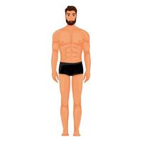 hombre desnudo cuerpo lleno altura vector
