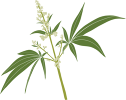 Einfachheit Cannabis Pflanze freihändig Zeichnung. png