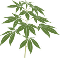 simplicity cannabis plant freehand drawing. png