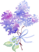 lila flor ramo. acuarela ilustración. pintura a mano png