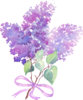 Lilac flower bouquet. Watercolor illustration. Hand-painting png