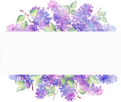 Lilac frame. Watercolor illustration. Hand-painted png