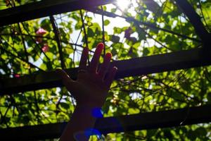 Sun beam with flare under the shade of trees and hand. photo