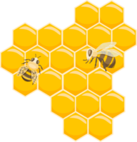 Bee and honey collections png