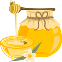 Bee and honey collections png