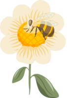 Bee and honey collections png