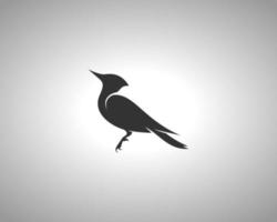 woodpecker vector silhouette