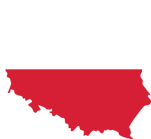 Polonia mapa con nacional bandera. png