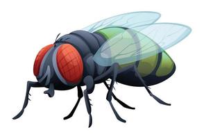 Cute fly cartoon illustration isolated on white background vector