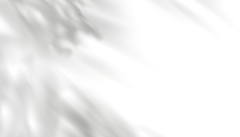 Blätter Schatten überlagern, isoliert Geäst Blätter png