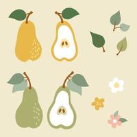 Pears, flowers and leaves. Set of spring and summer elements in flat style. Vector illustration