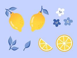 Set of lemons elements in flat style. Lemon slices, white and dark blue flowers on a blue background. Vector illustration