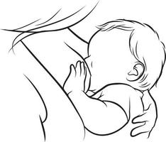 Breastfeeding Line Drawing. vector