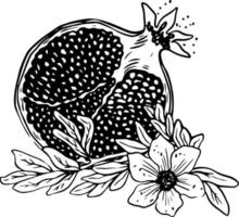 Lineart of sliced pomegranate with leaves and flowers black on white background vector