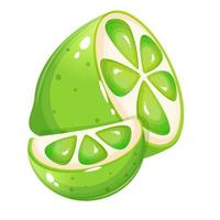 Cartoon style small and big lime slice. vector