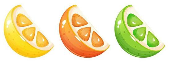 Orange , lime and lemon slices. vector